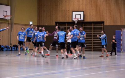 Heimstarke Handschuhsheimer Löwen