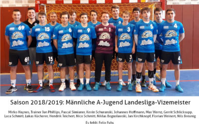 A-Jugend wird Vizemeister der Landesliga Nord